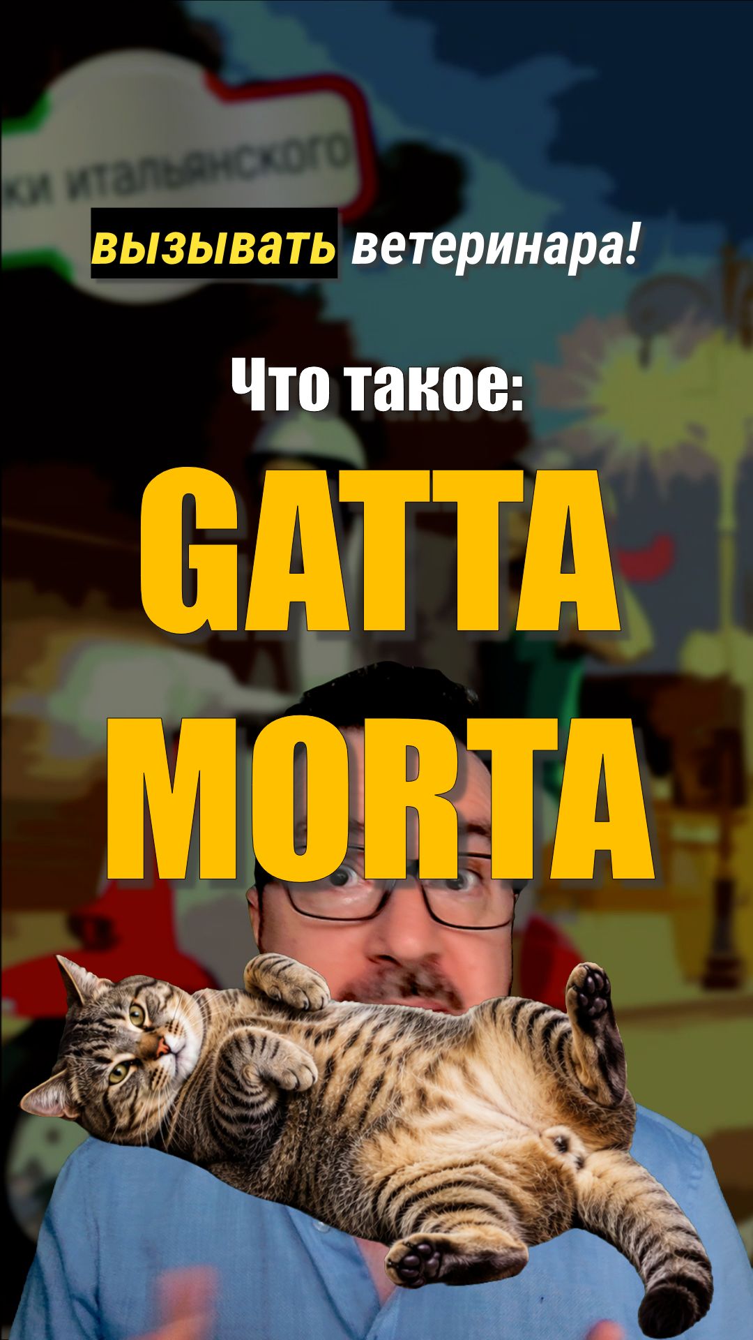 GATTA MORTA — «мёртвая кошка»?! 🐈🇮🇹 Что это значит по-итальянски?  #итальянскийязык #shorts