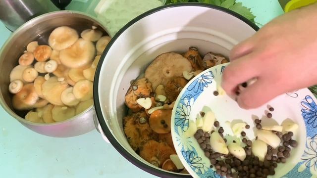 ЗАСОЛКА ГРИБОВ   Пошаговый рецепт, как солить грибы в домашних условиях на зиму .mp4