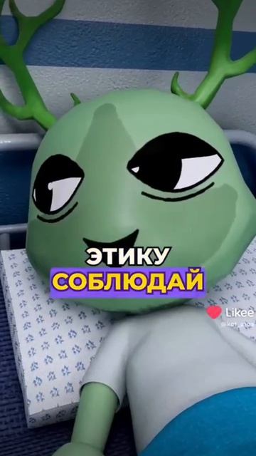 больница для животных аномалия