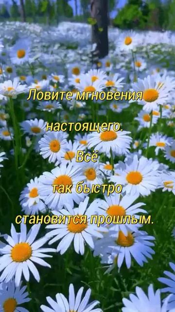 Ловите мгновения ...