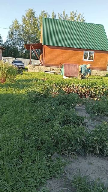 Моя дача