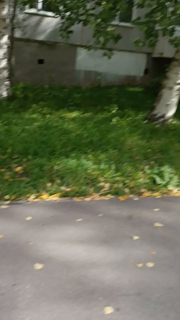 Технологическая собака😂