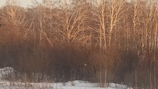 Едем в село Лучниково