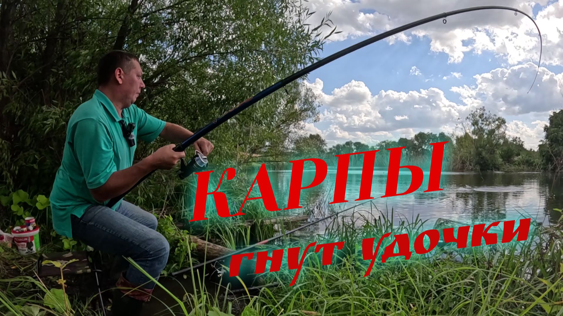 КАРП ЧУТЬ УДОЧКУ НЕ УТОЩИЛ! ДИКИЙ КАРП В КОРЯГАХ!