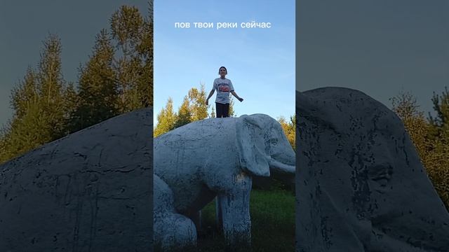 пов