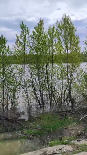 Срочная эвакуация...вода дошла до дамбы