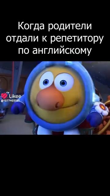 шизаз