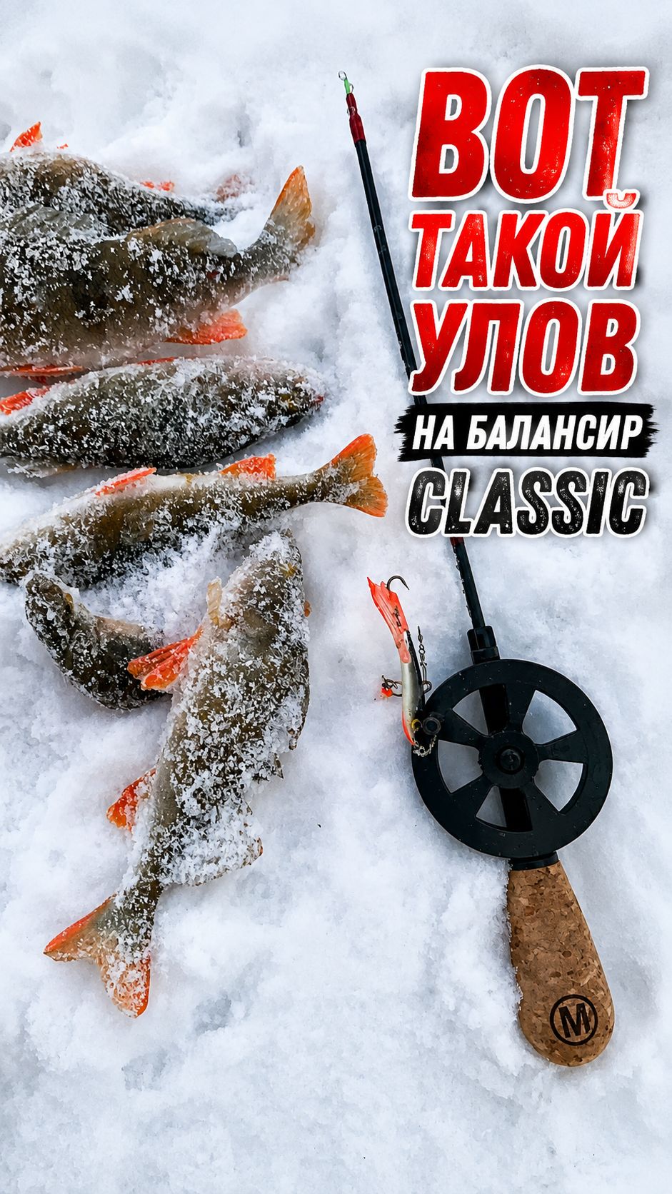 Зимняя рыбалка на окуня с балансиром AQUA Classic  #fishing #рыбалка