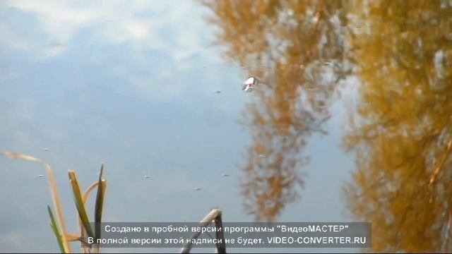 На рыбалке
