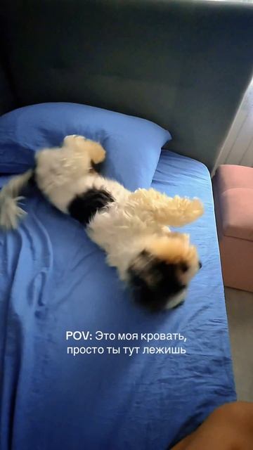 Идеальное утро- когда тебе некуда спешить.