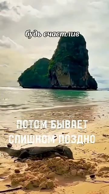 Живите сейчас