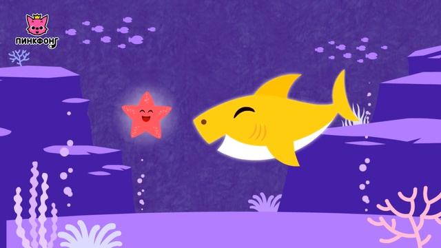 Акулёнок в Автобусе и другие песни | Пойте с Акулёнком | + Сборник | Пинкфонг Песни для Детей