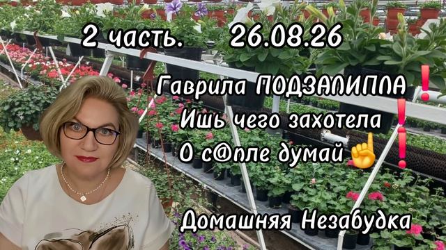 2 часть. Гаврила ПОДЗАЛИПЛА❗️Ишь чего захотела❗️О с@пле думай☝️❗️