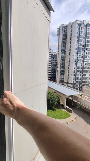 Москитная сетка. RSG 25. окно.