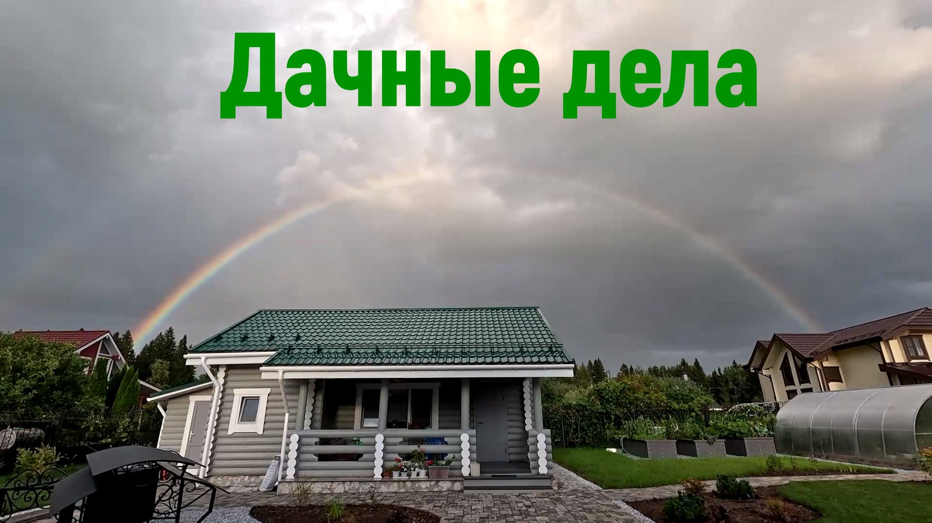 Ящерица /Реанимация газона  /Ландшафт и грядки /Лайфхаки и рецепты