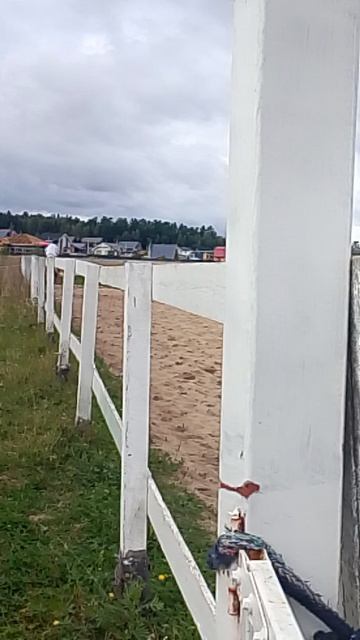 Лошадиная площадка, деревня Прудно 26.08.26.