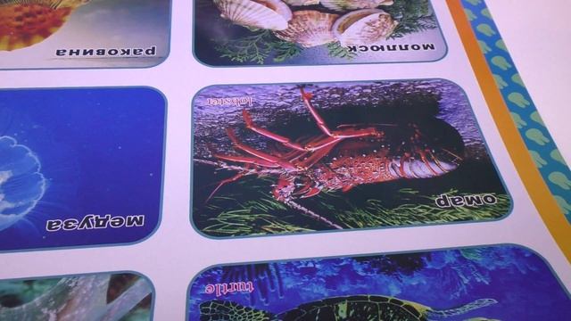 Подарок Диане - ГОВОРЯЩАЯ РУЧКА, Развивающая Игрушка Для Малышей