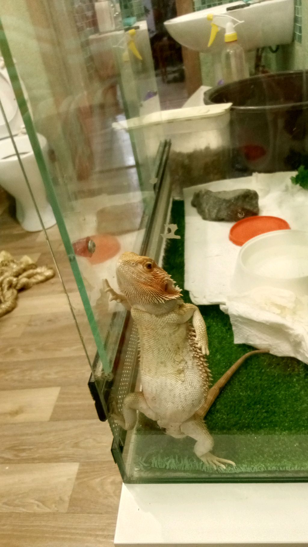 пойдёмте играть в М2