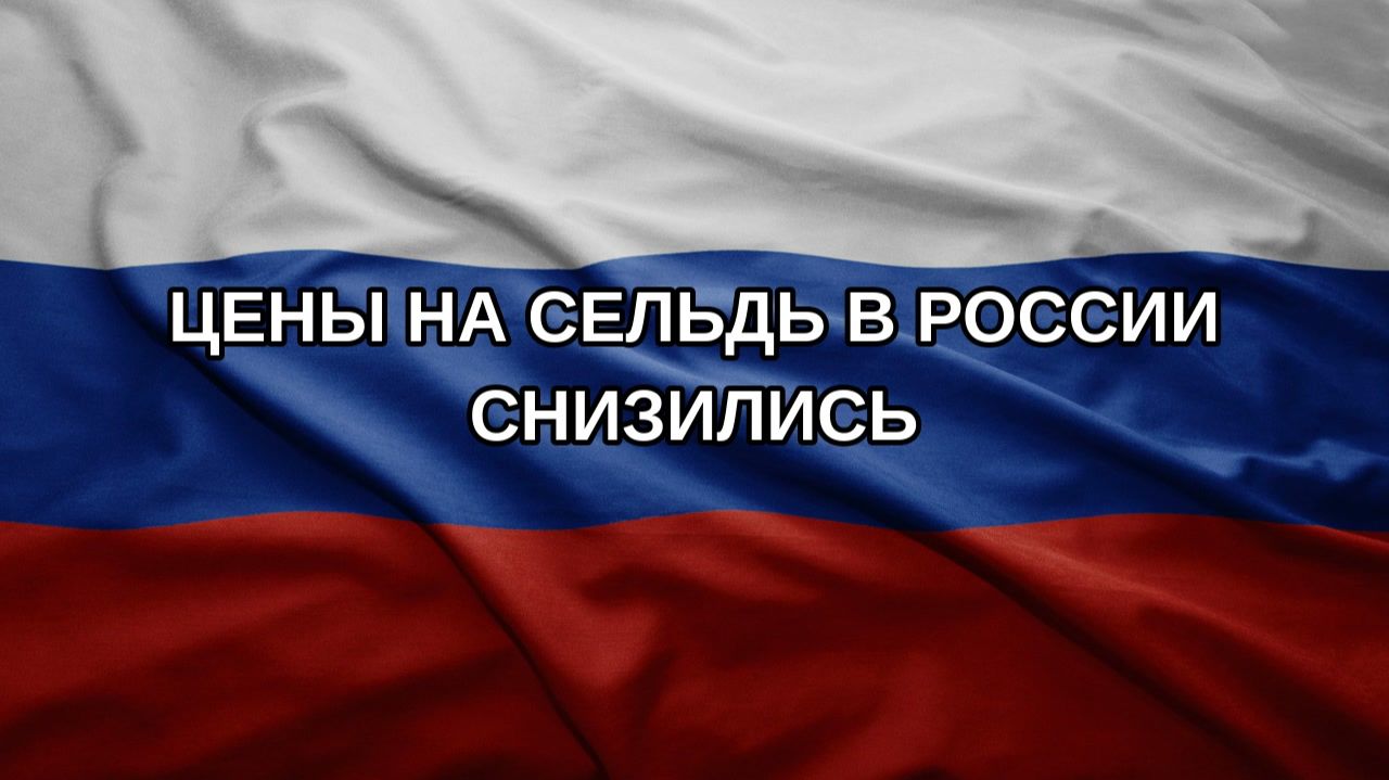 Цены на сельдь в России снизились