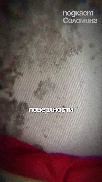 Что УНИЧТОЖАЕТ ТВОЙ ДОМ? Михаил Вишневский | Полный выпуск на канале Глеб Соломин #наука
