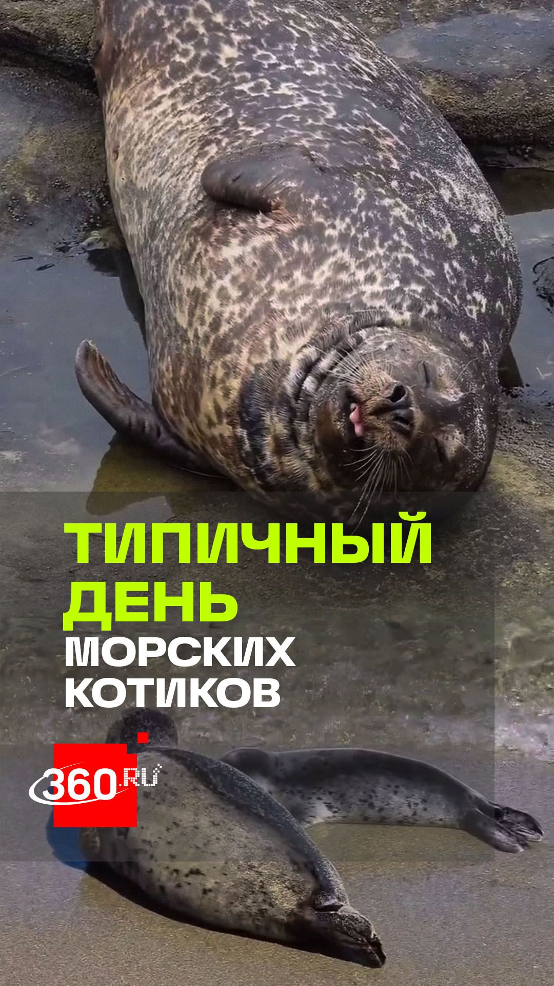 AQMm6tkFOICymg4vl_IcFg19IcmnH9eW5Z9QVWb578HYKWaFo1RYSBuTMrUkvzu