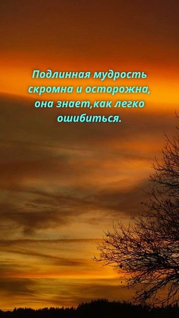 #shorts Цитаты/Психология отношений/ Мотивация/ Мудрые Советы Слова/ Фразы/Мудрые изречения