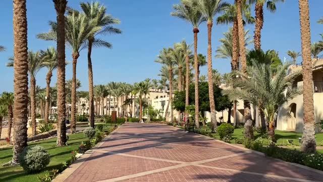 Отель Grand Rotana, Шарм-эль-Шейх