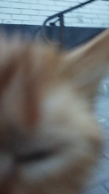 26-08-2026
