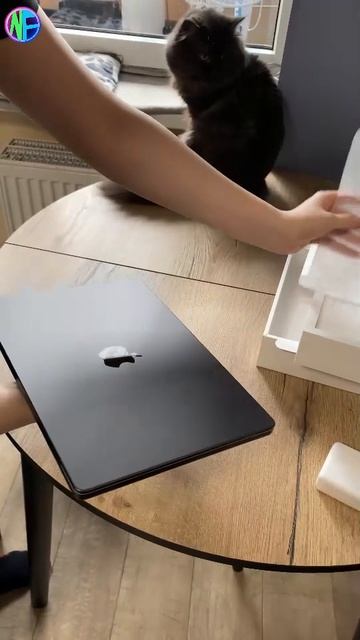 Ноутбук Apple MacBook Pro 14