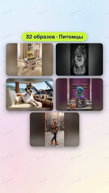 Столько образов для любимца! 🐾 Студийные портреты, сказочные герои и забавные сюжеты — ваш пушистый