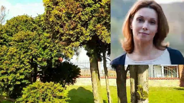 ПРОТИВ ВСЕХ 2 СЕЗОН 1 СЕРИЯ (14 серия). Дата выхода и анонс