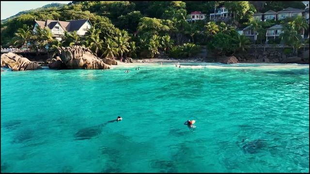 Сейшельские острова. Природа и океан | Красивое видео для релаксации 🌊🏝️