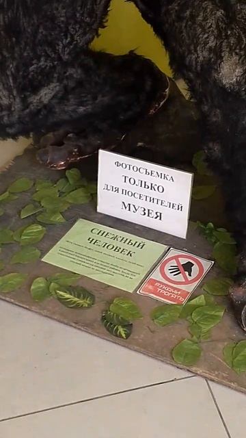 Кто в Омске, сходите в этот музей, вы еще успевайте В каскаде находится