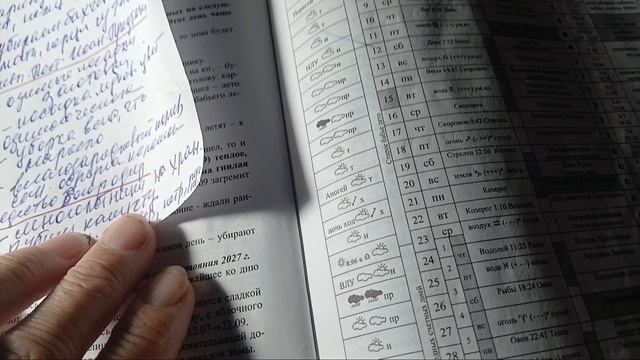 2583. Рассадный 26.Сентябрь уборочный.