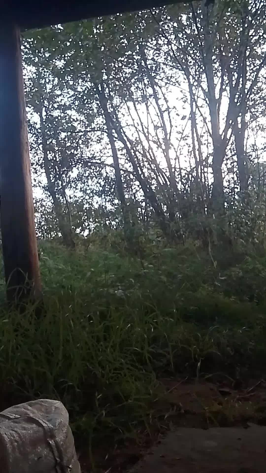 отдыхаю