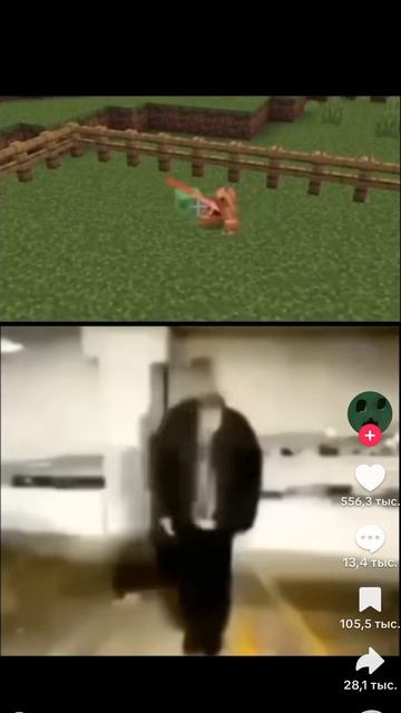 1000008769.mp4