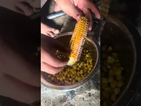 Деревенская жизнь