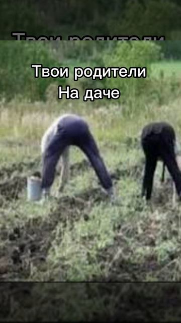 Поколения дачников