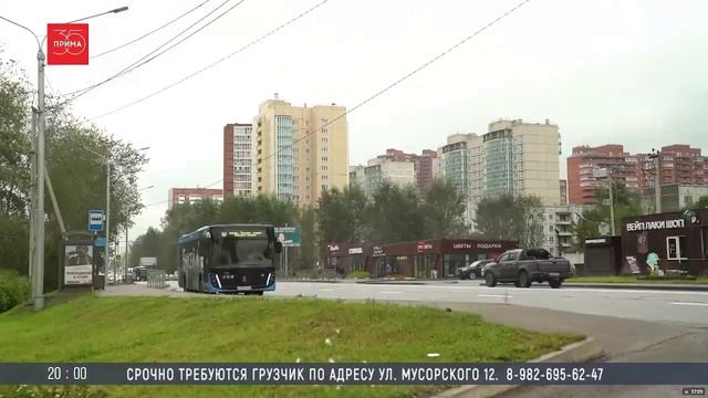Ирина Зубова в вечерних новостях телеканала Прима