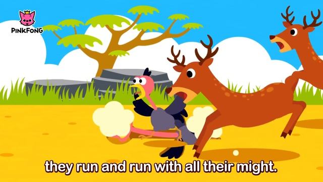 Лев | Песни про животных | PINKFONG Песни для детей