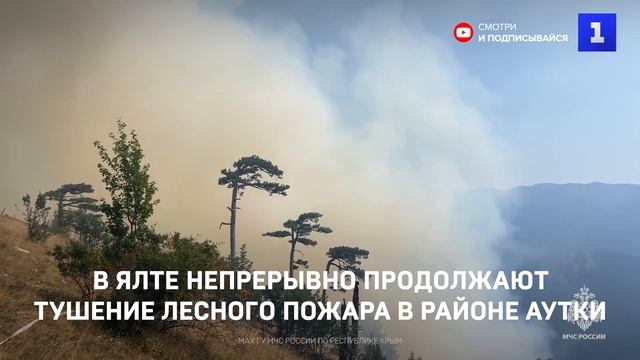 В Ялте непрерывно продолжают тушение лесного пожара в районе Аутки
