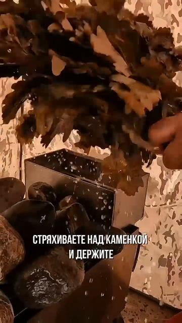 Вы запариваете веник неправильно! Как подготовить веник в парению?