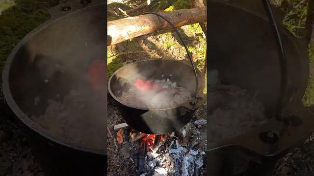 Паста-тако, приготовленная в глубоком лесу