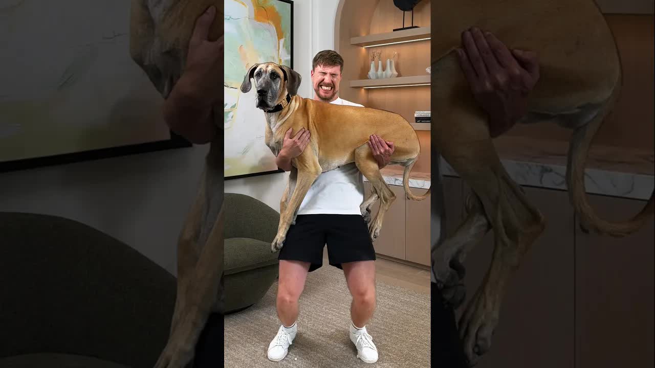 Держим Всё Больших и Больших Собак (Мистер Бист | Mr. Beast | Mr.Beast)
