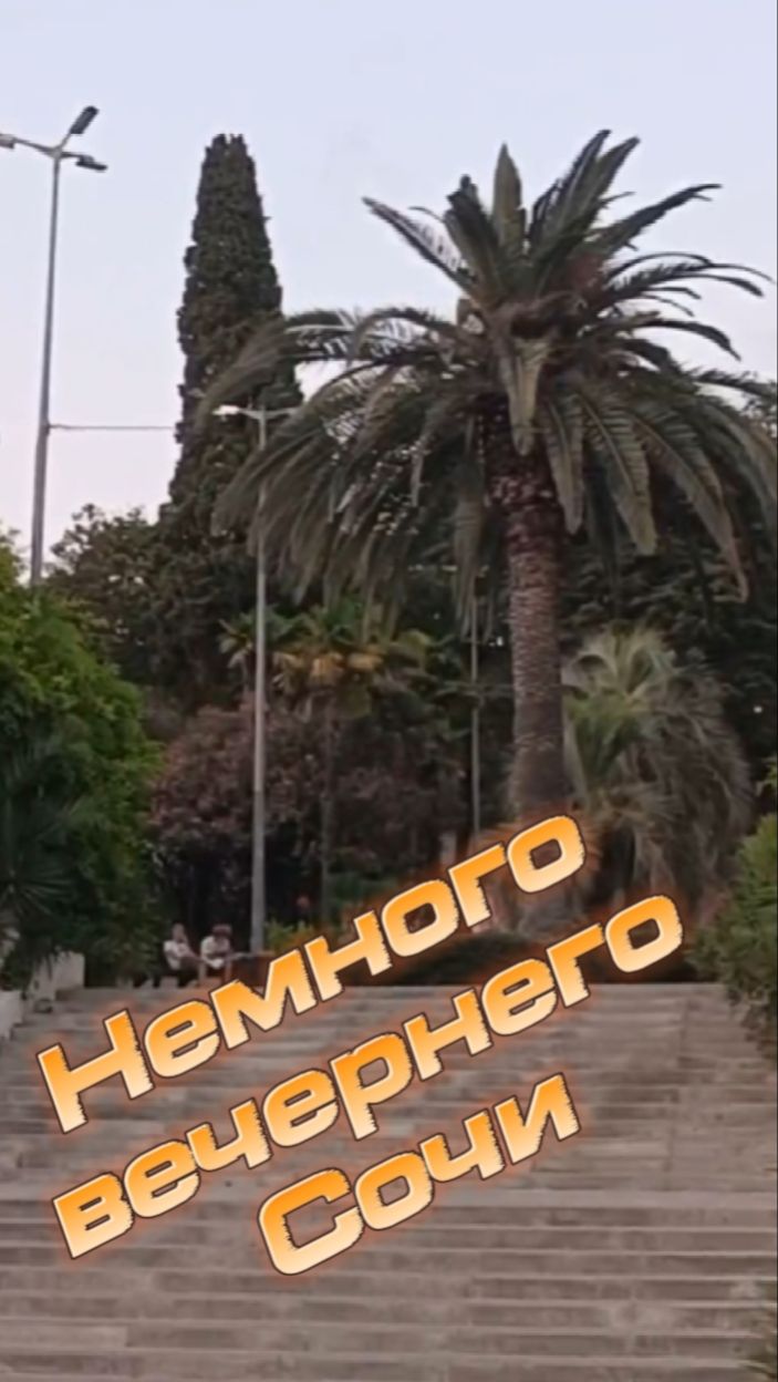 Немного вечернего Сочи