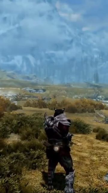 Уникальное добивания в игре Скайрим! #mrcatgame #skyrim #tes #скайрим #tes5 #elderscrolls