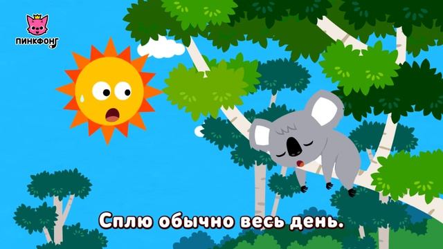 Коала — Коала-ла-ла-ла | Песни про Животных | Пинкфонг Песни для Детей