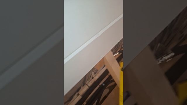 1000067964.mp4 Собака слушает о установке стоек в северную нишу на 2-ом этаже в доме А-фрейм