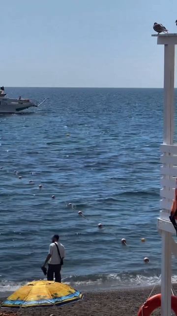 Не просри это лето, ещё бархатный сентябрь ❤️🐬🌊🏖️☀️⛰️🏄♂️