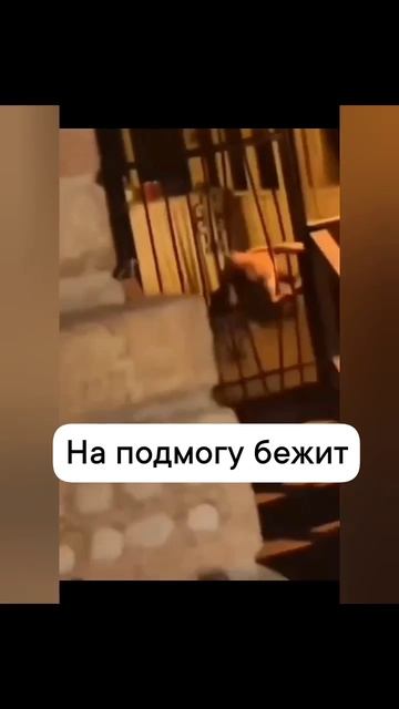 На подмогу бежит